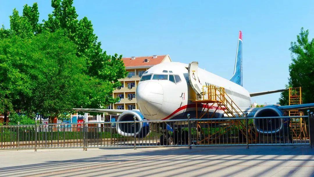 招生季滨州学院拍了拍你招生简章了解一下