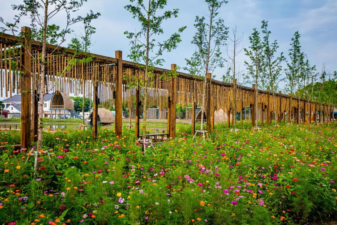 玩转夏天相城这个网红打卡点安排上了