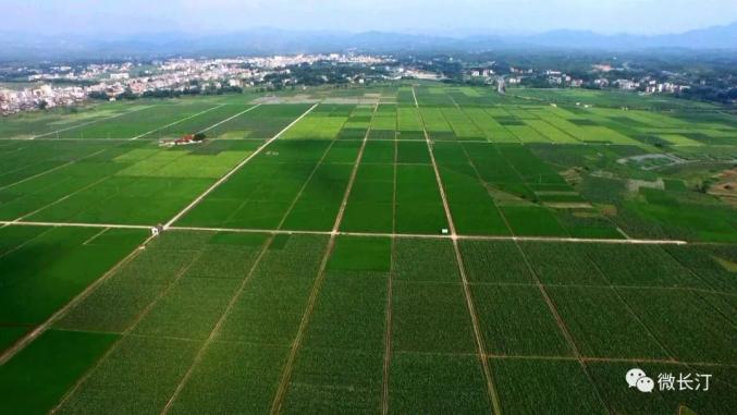 福建各市2020年前7个_福建奔驰威霆2020款(3)