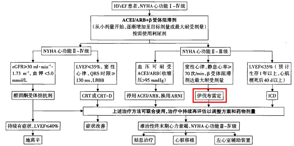 一口气她怒吞20几片伊伐布雷定