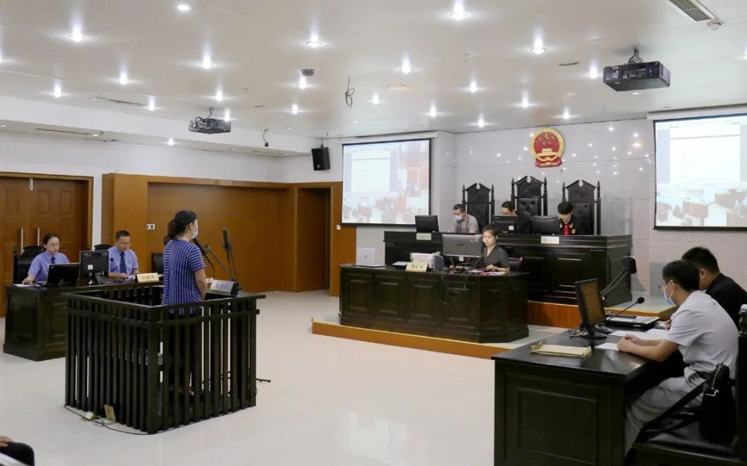 扬州中院联合仪征法院邀请省市区三级人大代表政协委员旁听评议庭审