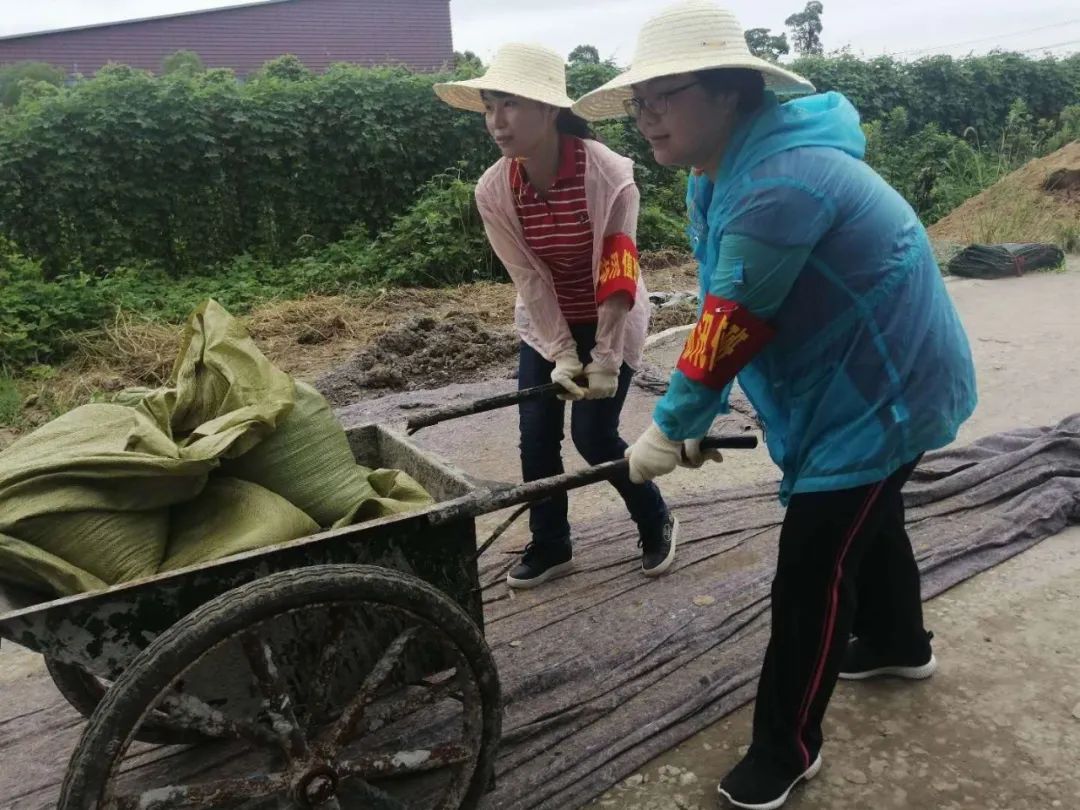 防汛抗洪 包河巾帼奋战一线 迅速集结，支援防汛一线！她们，坚守堤坝保家园~澎湃号·政务澎湃新闻 The Paper 0759