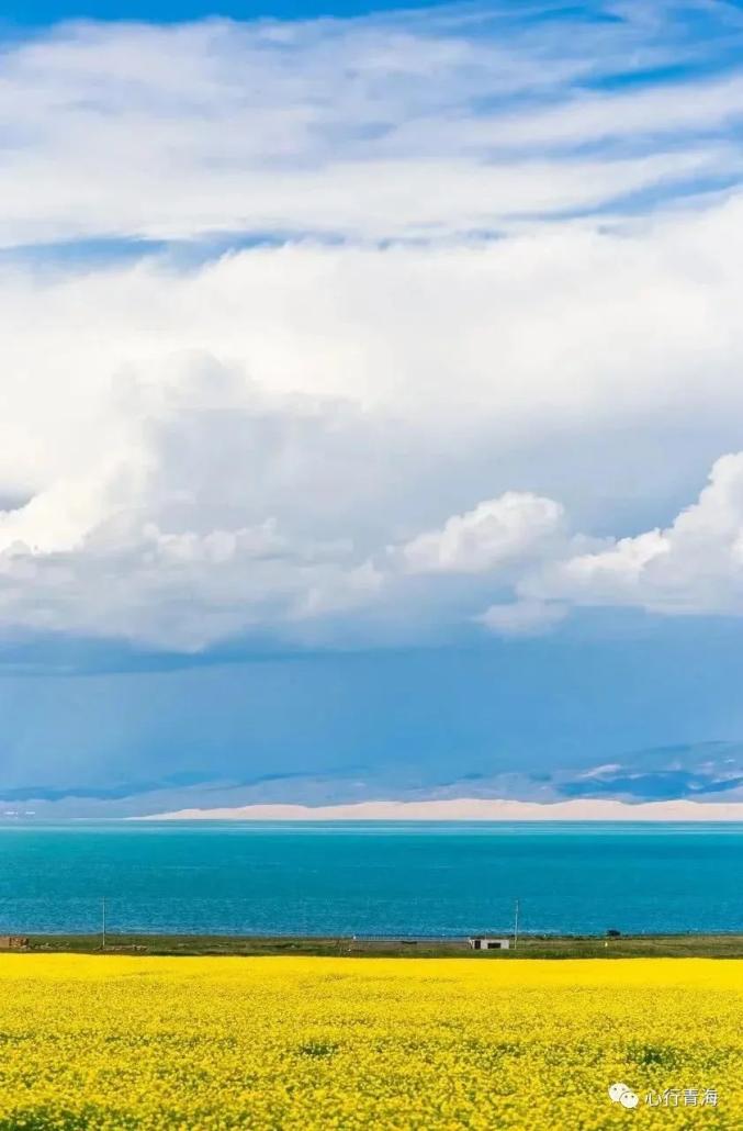 七月青海相遇最美的自然