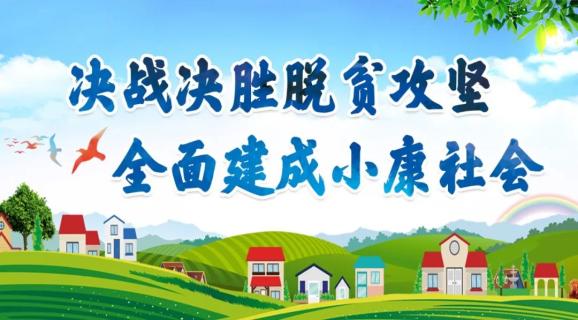 临洮县副县长李兰广淘宝直播间卖百合,让甜百合“大地飘香”
