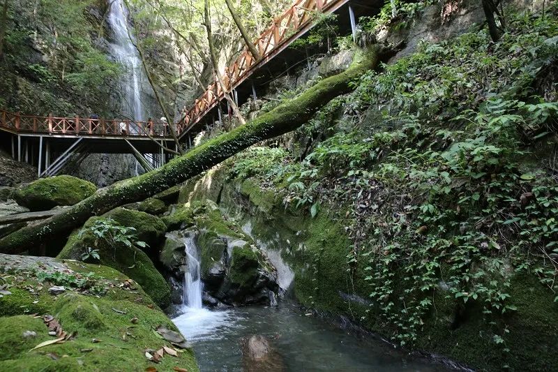 郝敬东:就拿荆山一些地名的后缀来说吧——凡为坪