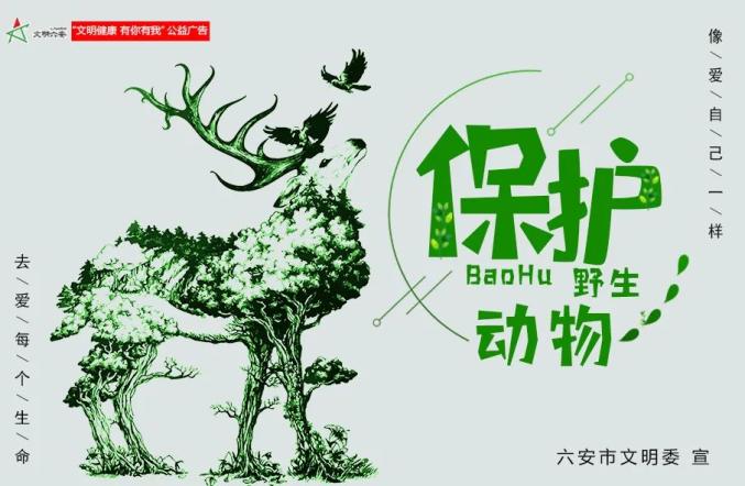 六安市区有多少人口_六安市区地图