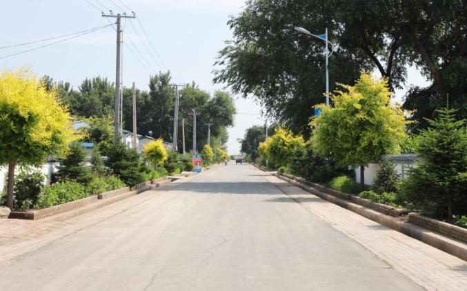 千村千户脱贫故事前进村拍了拍小康路