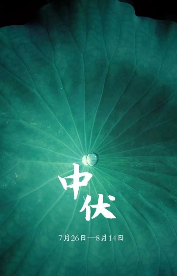 深圳什么时候最冷是多少度 667.jpg