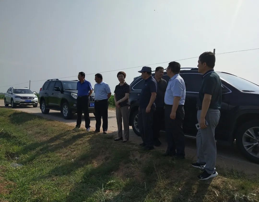 村集体经济总量是什么意思_白带是什么图片(3)
