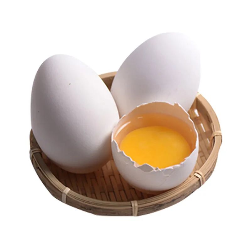 【食趣】世界上产"蛋"的动物那么多,为什么人类偏爱鸡蛋?