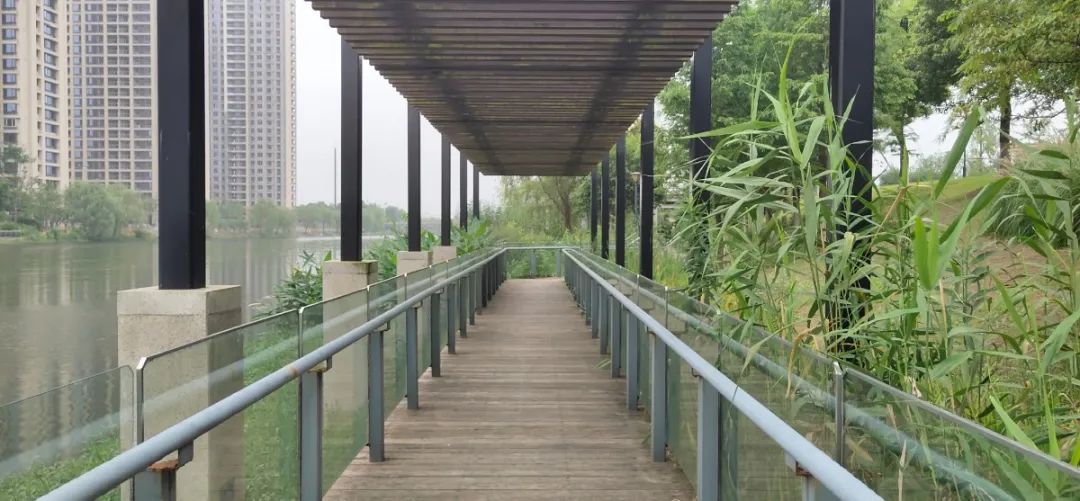 八工段直河公园滨水长廊享受夏日慢时光