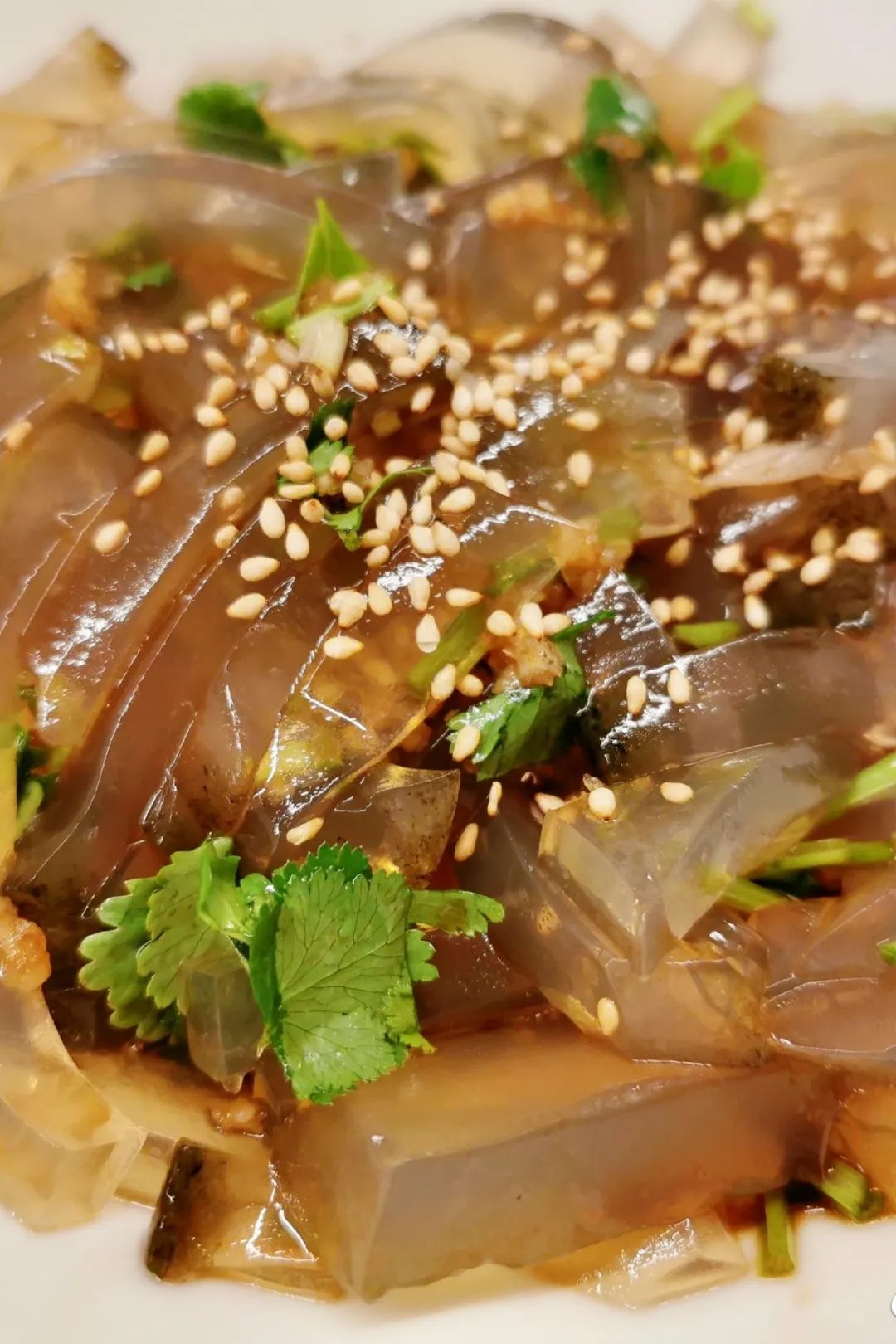 双城记②大连六盘水24年的帮扶情谊跨越山海与你共美好