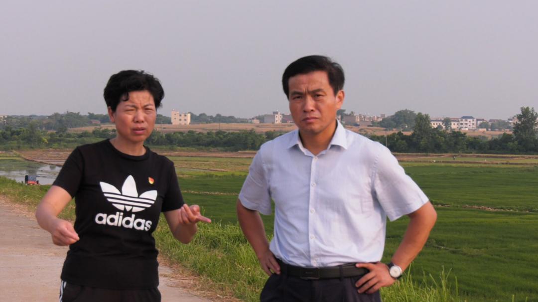 钟益民深入部分乡镇指导灾后农业生产自救