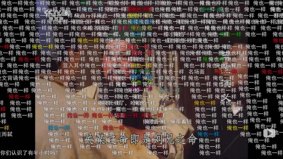 519.jpg