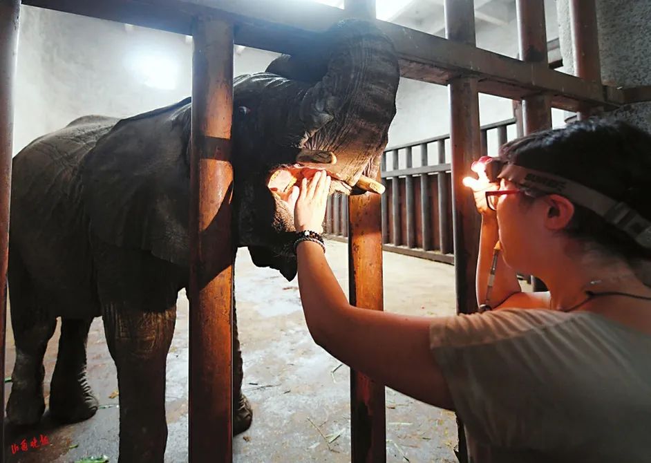 新館舍新期待帶您探訪升級改造中的太原動物園