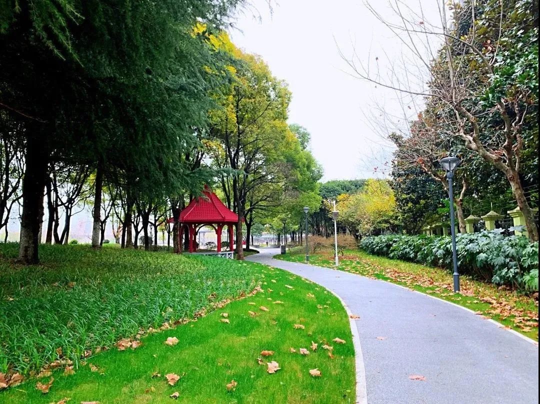 区动态闵行生态滨水王牌绿道建成开放42公里长超62万m05可赏景可慢