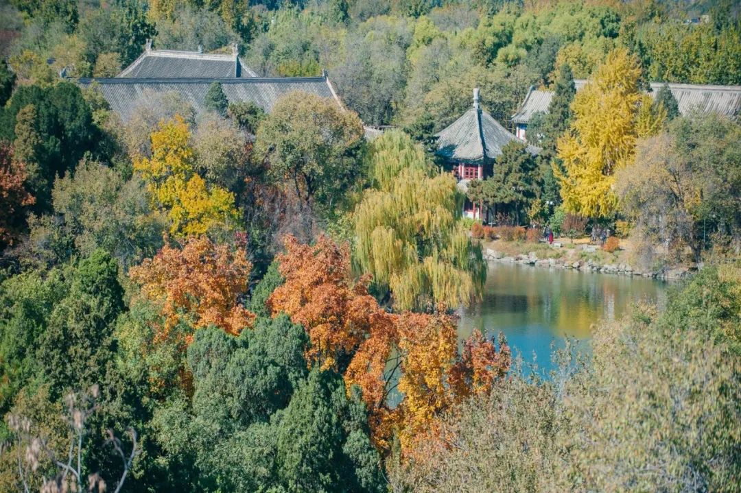 2020年北大马院初试_盛世清北2020年北京大学(北大)数学科学学院考研复试