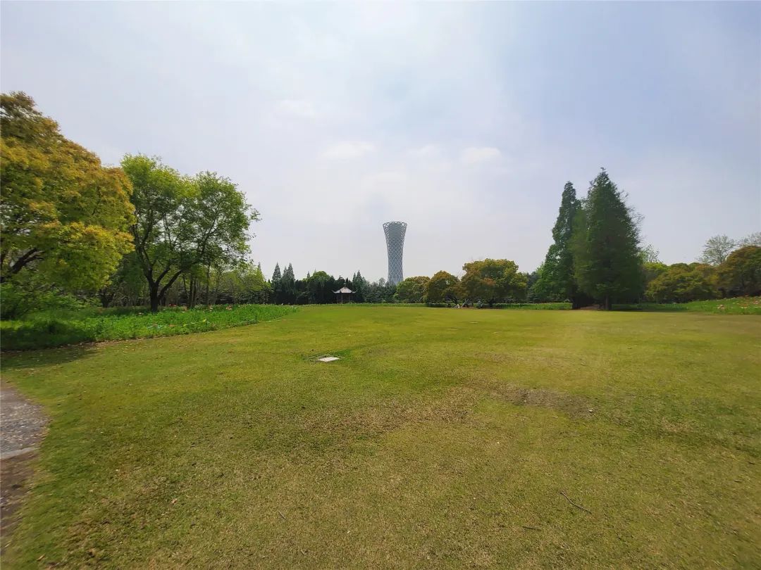 公园草坪是否加滤镜 704.jpg