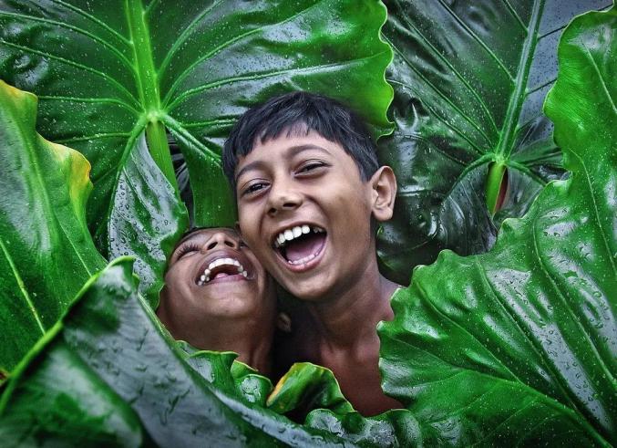 趣看全世界最绿的50张照片用绿色净化眼睛