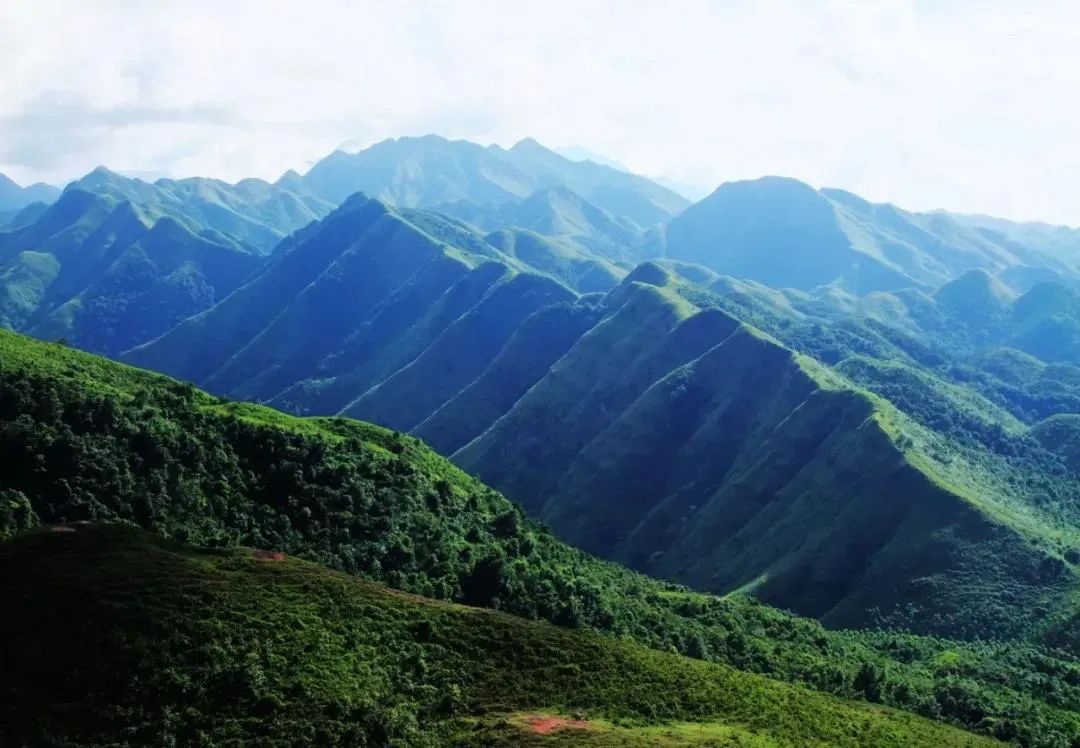 上思县以自然资源为底巧绘小康蓝图守好十万大山托起金山银山