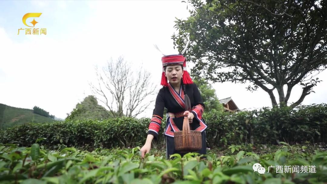 茶山瑶服饰图片图片