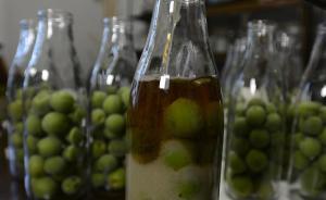 梅雨至青梅熟，來做“青梅酒”