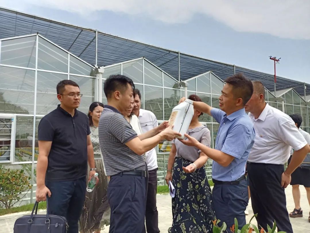 沈光部长调度长沙有机谷"村播"基地申报工作7月27日下午,长沙县委副