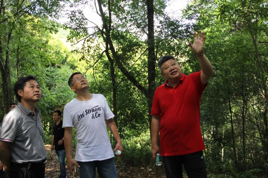 骆高远以及浙江商业职业学院旅游烹饪学院酒店新业态研究中心主任王伟