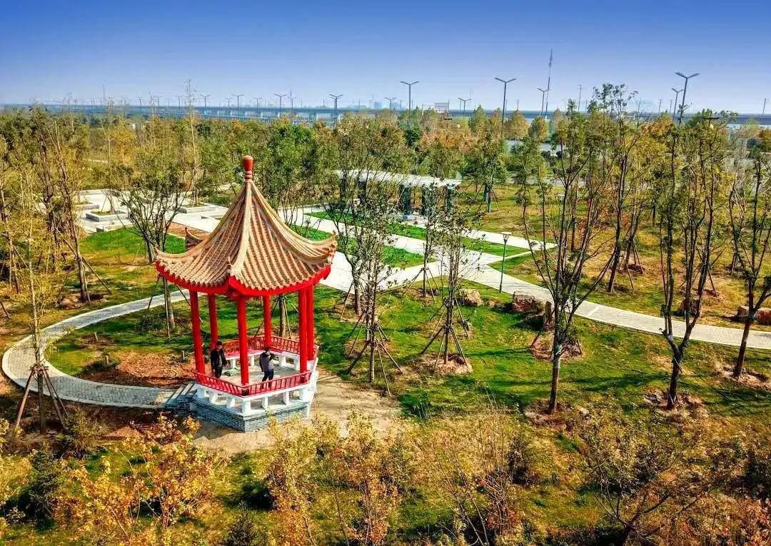 洛阳31处小游园有了新名字哪个是你的最爱