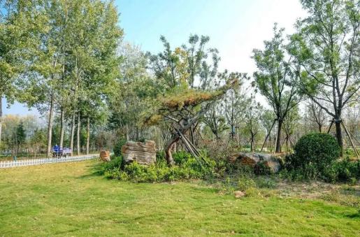 洛阳31处小游园有了新名字哪个是你的最爱