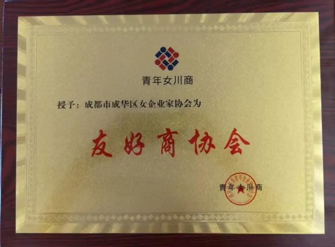 共创美好明天丨成华区女企业家协会与青年女川商缔结友好商协会_澎湃