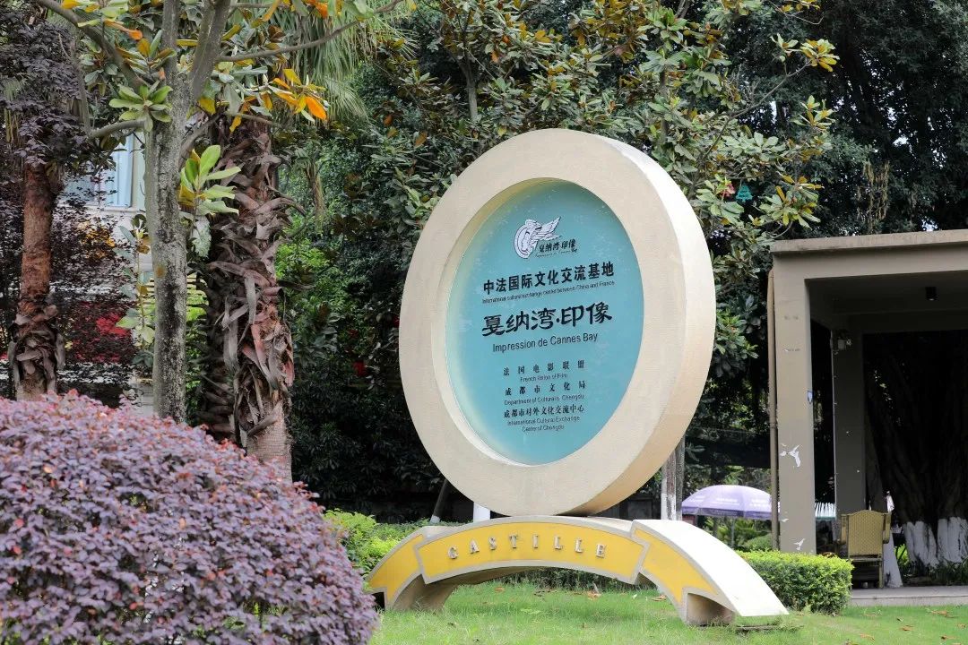 华阳街道经济总量_华阳街道装梯地图(3)