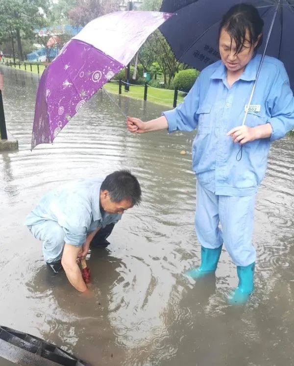 搬迁 公司电话风雨雷电聚首!杨浦的他们“乘风破浪 ”,抢险