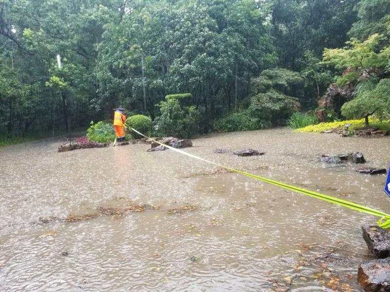 搬迁 公司电话风雨雷电聚首!杨浦的他们“乘风破浪 ”,抢险