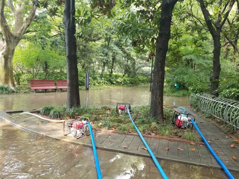 搬迁 公司电话风雨雷电聚首!杨浦的他们“乘风破浪 ”,抢险