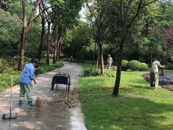 搬迁 公司电话风雨雷电聚首!杨浦的他们“乘风破浪 ”,抢险