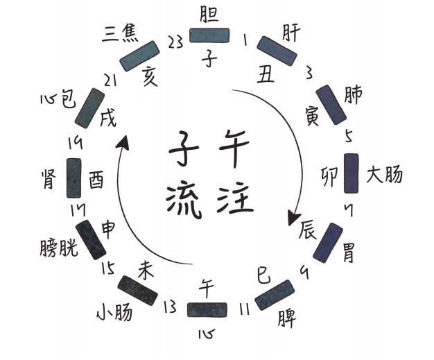 中医药文化起居作息中的中医药