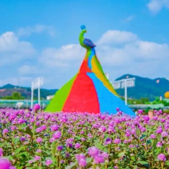 石城县2020年上半年g_石城县夜景