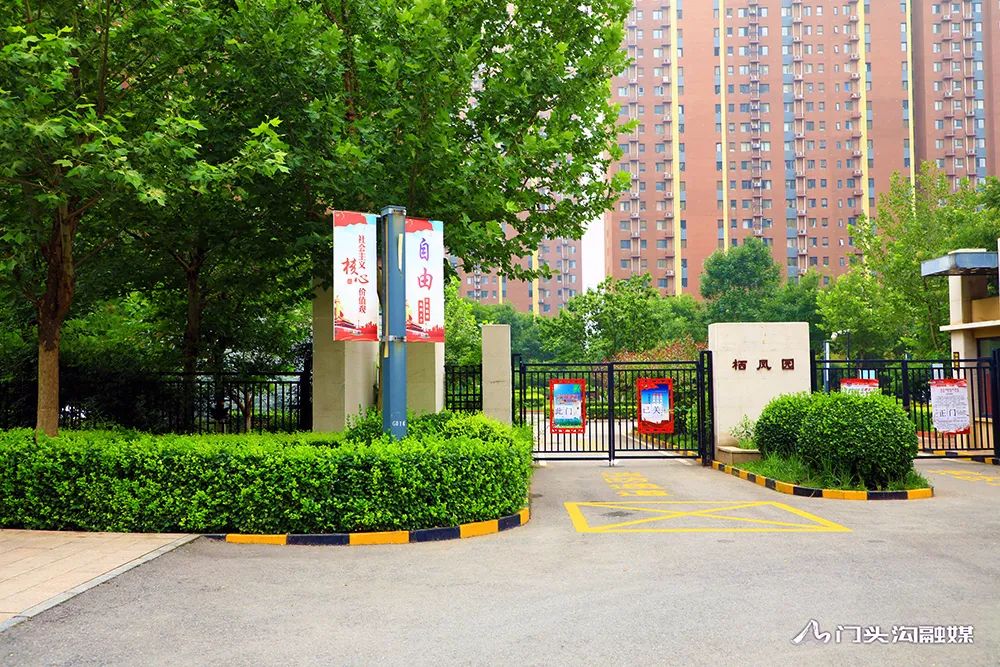 『乱糟糟→齐刷刷』梧桐苑地区大变样!_政务_澎湃新闻-the paper