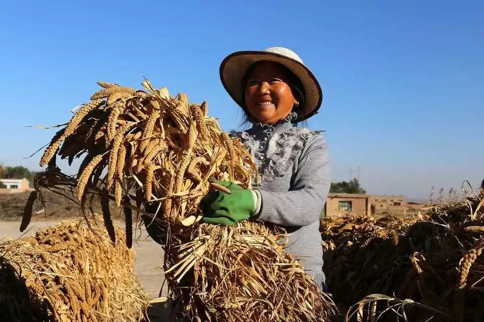 走向我們的小康生活⑧塞上江南換新顏有啥氣象高招