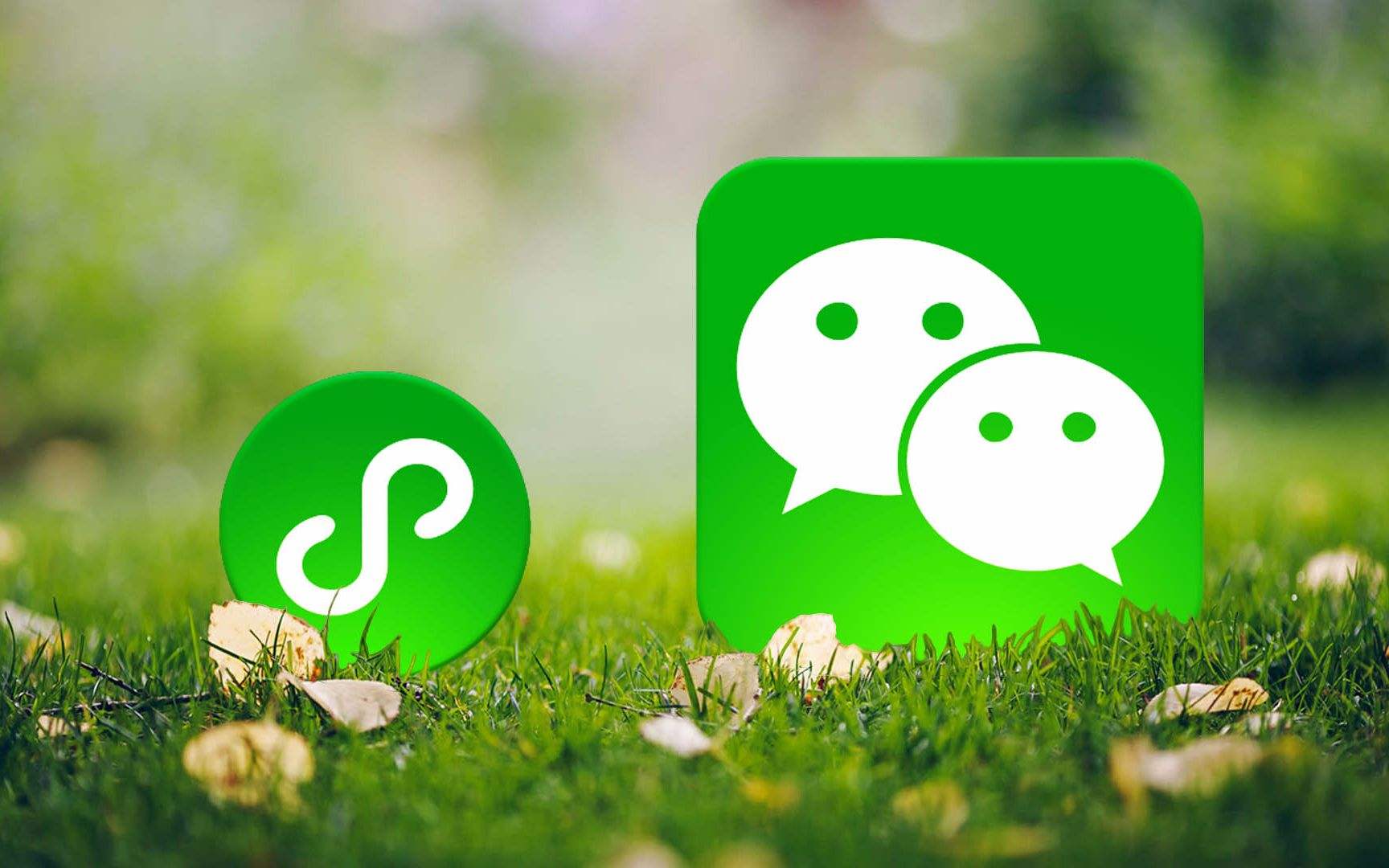 有4亿日活这碗老酒打底,微信与直播带货,咋就八字不合?