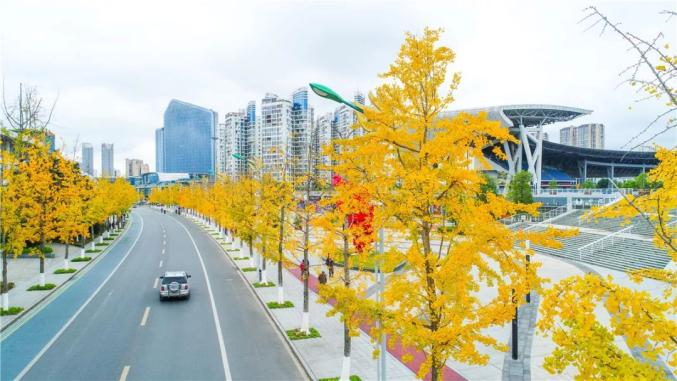 抢抓双城经济圈机遇遂宁来渝签百亿大单