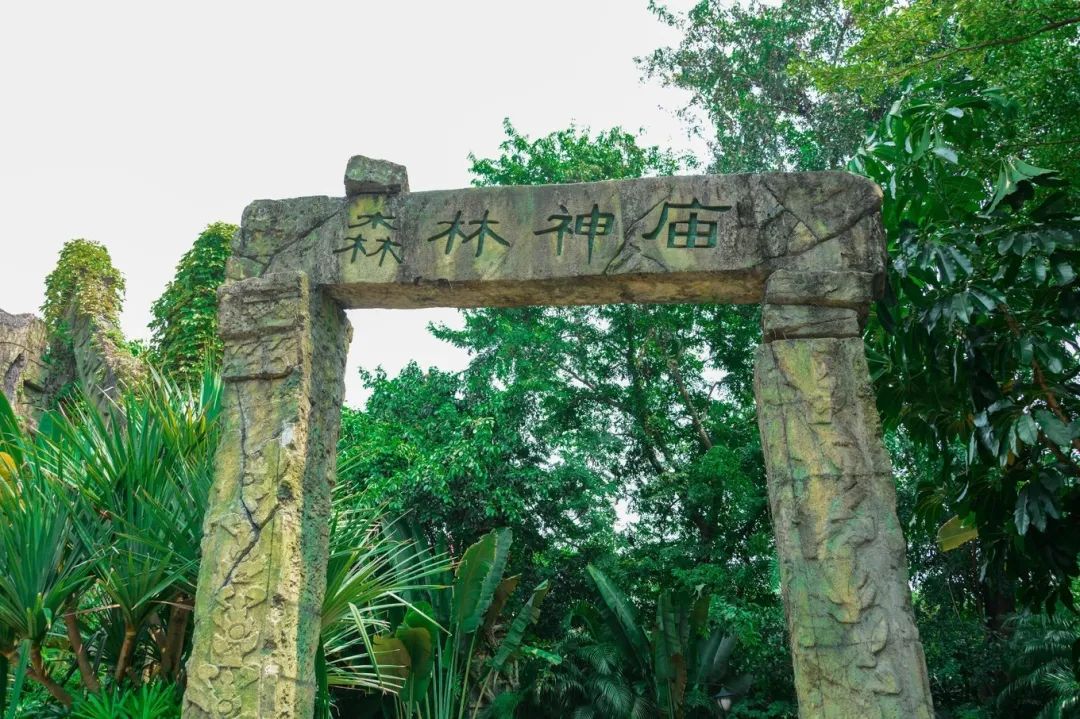 长隆森林神庙图片
