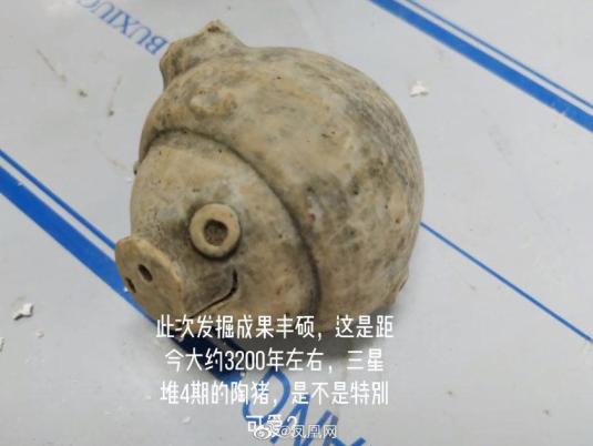 穿越了三星堆里挖出来的猪怎么有点眼熟