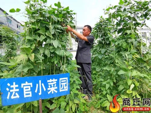 华堡乡人口_人口普查