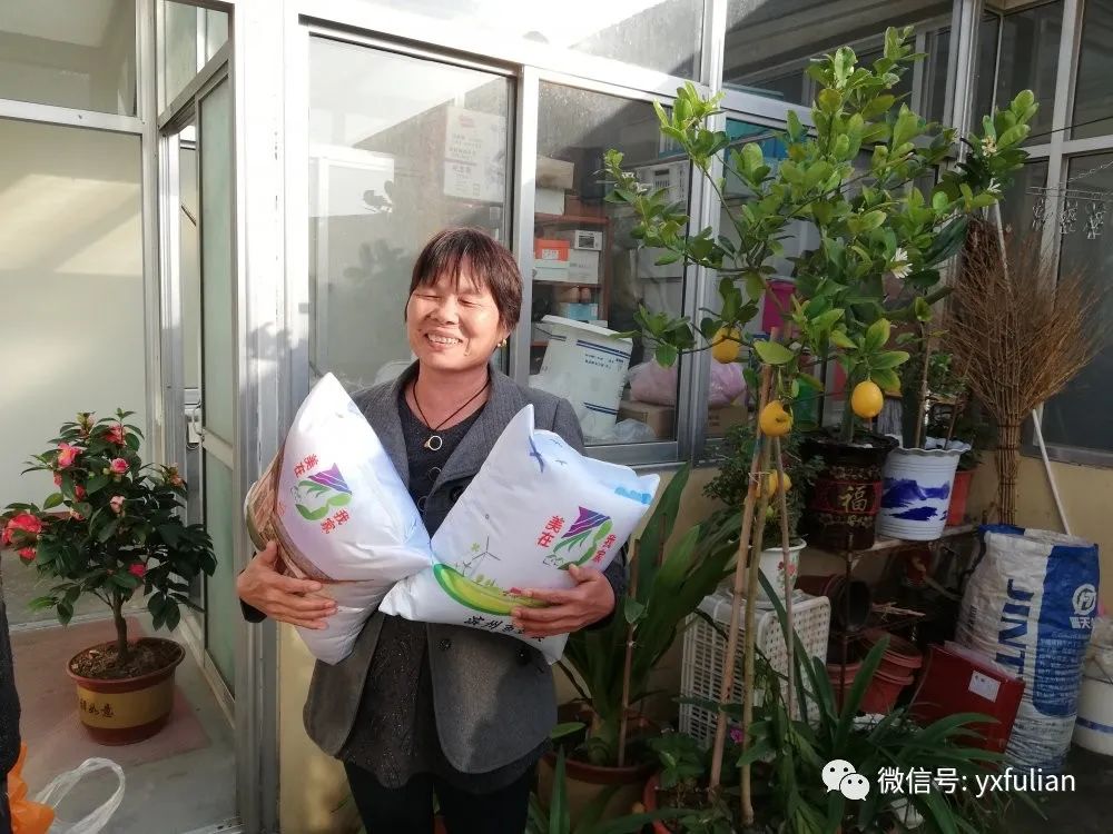 美丽庭院擂台赛78阳信县信城街道温店镇因地制宜各美其美推进美丽