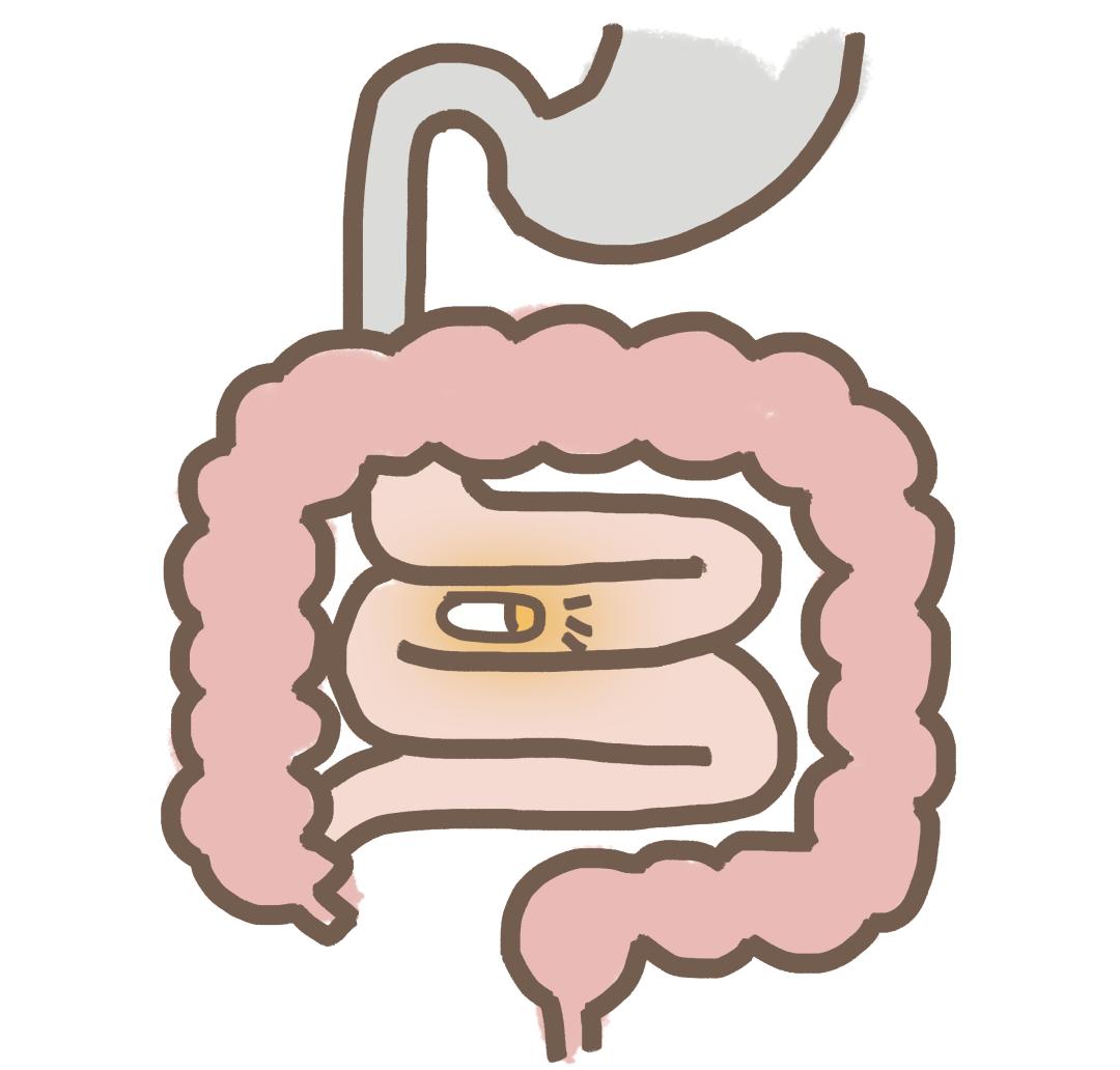 胃肠道卡通图片