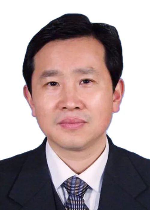 杨辉中国科学技术大学副教授李明发合肥工业大学教授冷静安徽省人力