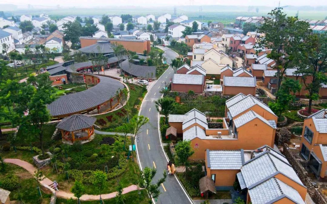 新沂市棋盘镇杨庄