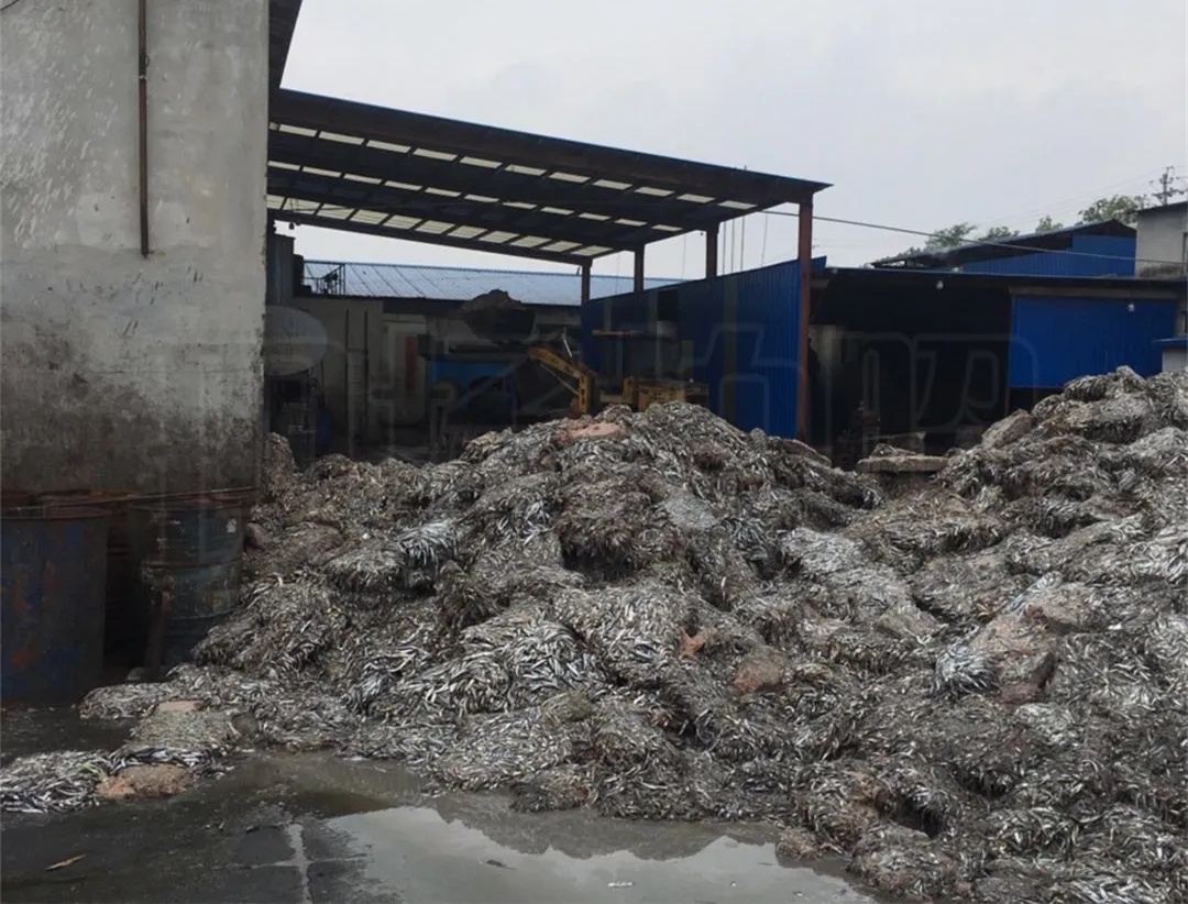 附近一家魚粉生產企業,在生產期間對原材料進行烘乾處理和加工過程中